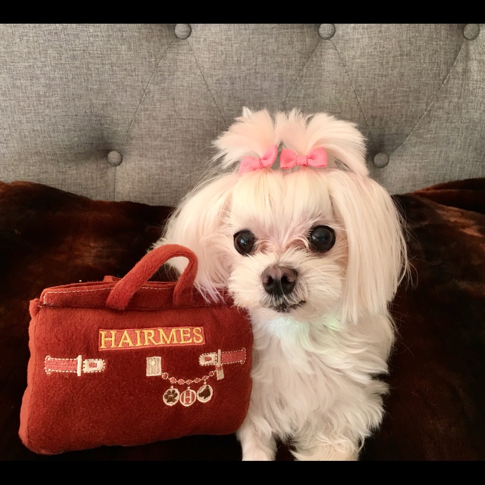 New Hairmes Dog Purse Squeaker Toy. SOLD OUT! Perfect for your pampered Pup.